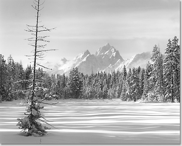 Black and White Landscape